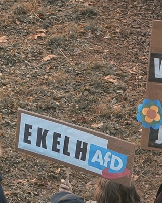Demoschild mit der Aufschrift: EkelhAfD