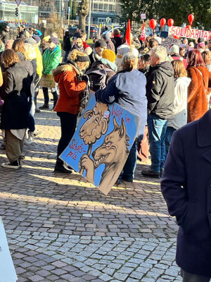 Eine große Menschenmenge versammelt sich im Freien zu einem Protest. Die Menschen halten Schilder und Fahnen hoch, umgeben von Bäumen und städtischen Gebäuden im Hintergrund. (c) Vera Meister